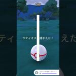 初ゲットが色違い！嬉しすぎる！ #ポケモンgo #ポケモン #pokemongo #色違いポケモン