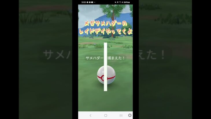 #ポケモン #ポケモンGO #レイドデイ #メガサメハダー