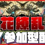 【パズドラ ドラゴン縛り】まさかの「百花繚乱６」電撃実装！！早速参加型で3Yマルチ配信！！！