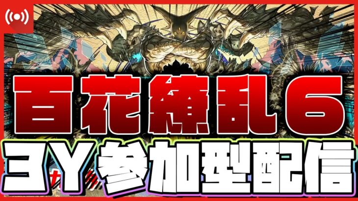 【パズドラ ドラゴン縛り】まさかの「百花繚乱６」電撃実装！！早速参加型で3Yマルチ配信！！！