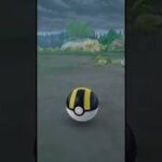 ポケモンGO  フラべべ　#ポケモンGO #コミュニティデイ　#フラべべ　#色違い