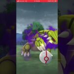 ポケモンGO 色違いシャドウグラードン出た！