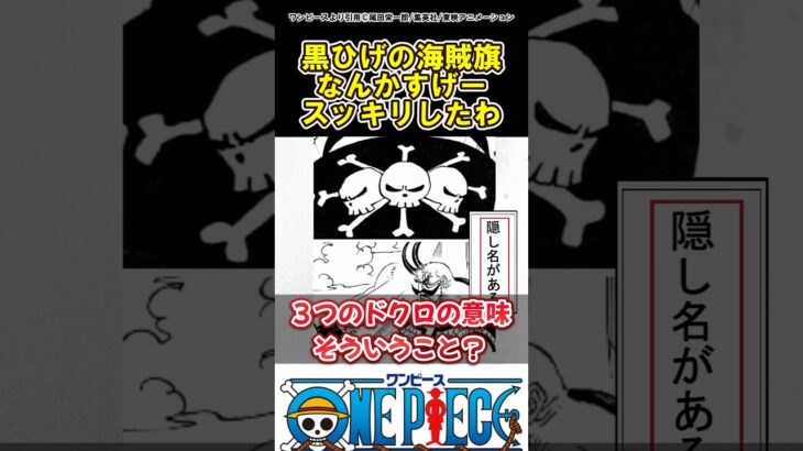 【ワンピース】黒ひげの海賊旗そういうことだったのか#ワンピース