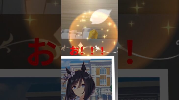 ウマ娘サポートガチャ(ピックアップ)#ウマ娘プリティーダービー #ウマ娘ガチャ