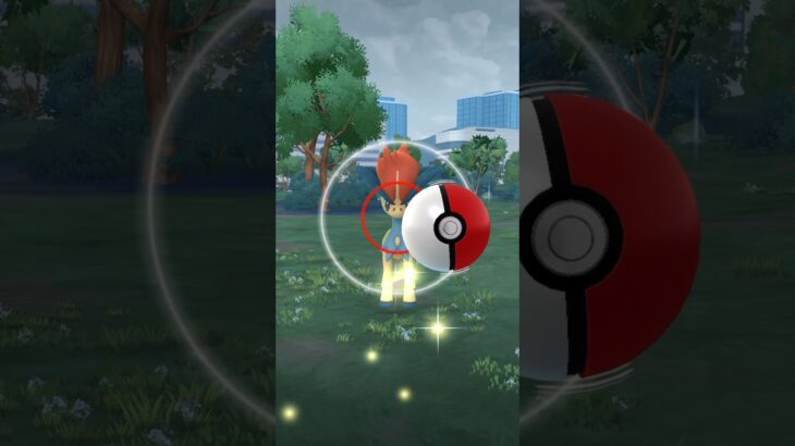 ポケモンGO ケルディオGET#ぽけもん #ポケモン #pokemon #music #おれポケ #あるある #ポケモンgo #幻のポケモン #games #youtubeshorts