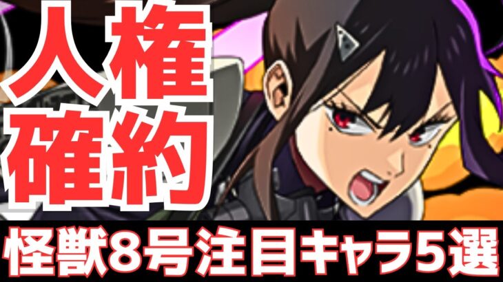 【パズドラ】こいつが多分最強です【怪獣8号コラボ】
