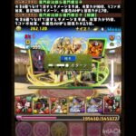 【謎】これ、何の演出？【割合ダメ使用後】 #パズドラ