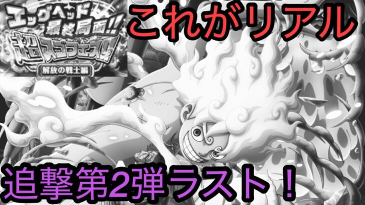 [トレクル]エッグヘッド最終局面超スゴフェス第2弾ラスト回！これがリアル、嘘も偽りもない。[OPTC][超スゴフェス]