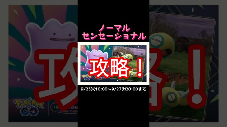 『ノーマルセンセーショナル』イベントの詳細動画です。【ポケモンGO】