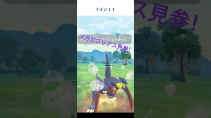 【初心者が使う】メガガブリアスでメガリーグ #ポケモン #ポケモンgo