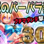 【ドラクエウォーク】周年直前に奇跡は起こるのか!?真夏のまぼろしバーバラ装備30連でブルフィオーレを手にしたい無課金勇者!!