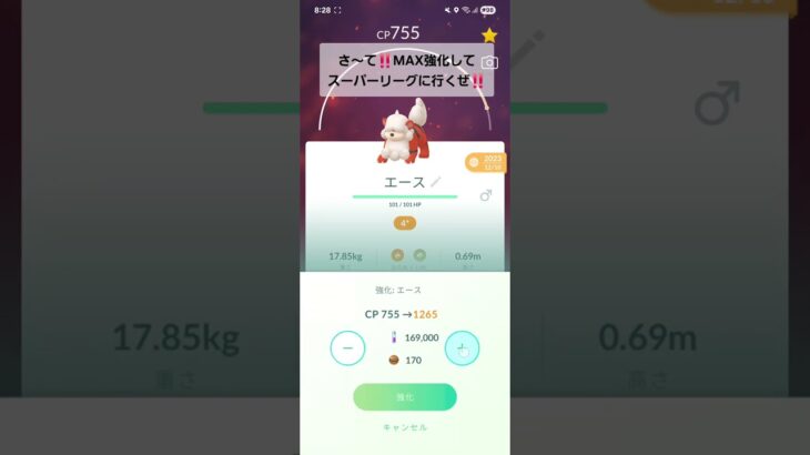 ポケモンGO ヒスイガーディのMAX強化 ムキムキ💪