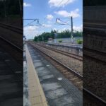 #ウマ娘プリティーダービー #ウマ娘 #歌ってみた #原神 #emu3000 #自強號 116