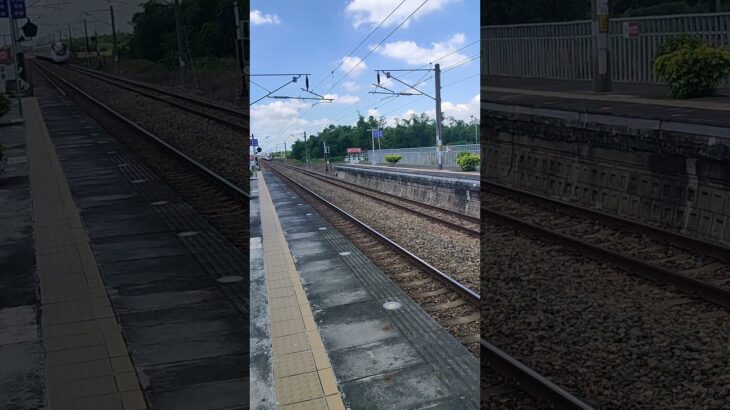 #ウマ娘プリティーダービー #ウマ娘 #歌ってみた #原神 #emu3000 #自強號 116