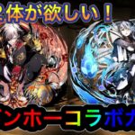 【パズドラ】鬼滅キャラと相性のいいこの２対が欲しい！！石はほぼないガンホーコラボガチャ！