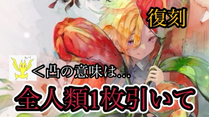 【メメントモリ】メリア復刻！全人類1枚確保！凸の意味は？【メメモリ】