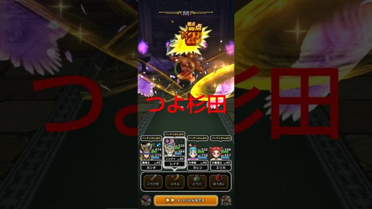 とこなつパンサーのほこら #ドラクエ ウォーク