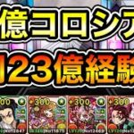 【パズドラ】1周23億経験値！ディバインゲート・12億コロシアム！統合世界！1周9分台！ベリーニ編成でランク上げ周回！【概要欄に詳細など記載】