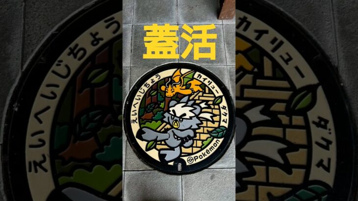 #ポケモン #蓋活　#マンホールの蓋 #ポケモンgo #太子町 #シャインマスカット #イチヂク　今年２度目のシャインマスカットイチヂクおかわりごち。１時間半並んでくれて有難う　イチヂクうま