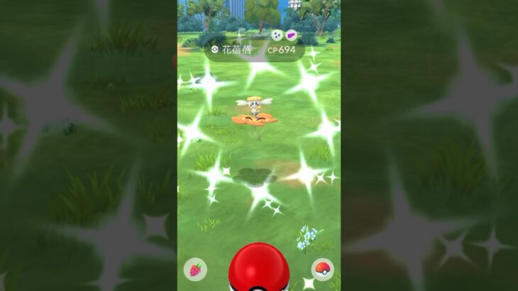 ポケモンGO ｜#082｜無課金｜ Pokémon GO