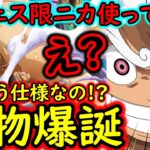 [トレクル]超フェス限ニカがヤバすぎる!? まさかこうなるとは思わなかった…想像以上のバケモン爆誕!? [白い万力ルフィ][OPTC][sugo fest]