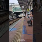 #ウマ娘プリティーダービー #ウマ娘 #歌ってみた 5117#自強號 #emu3000