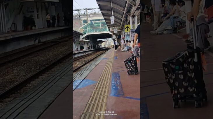 #ウマ娘プリティーダービー #ウマ娘 #歌ってみた 5117#自強號 #emu3000