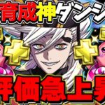 【誰でも勝てる】神ゲリラ爆誕！2周で実質45億経験値！+891も作れる11億コロシアムがヤバい【パズドラ】