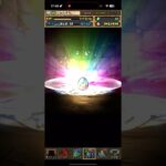 出ちゃった【パズドラ】