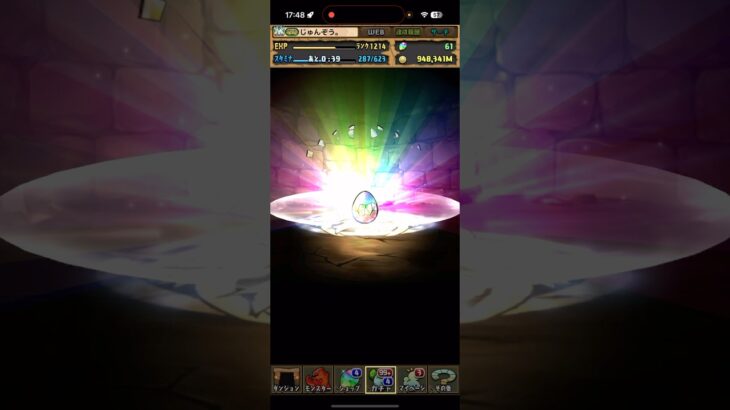 出ちゃった【パズドラ】