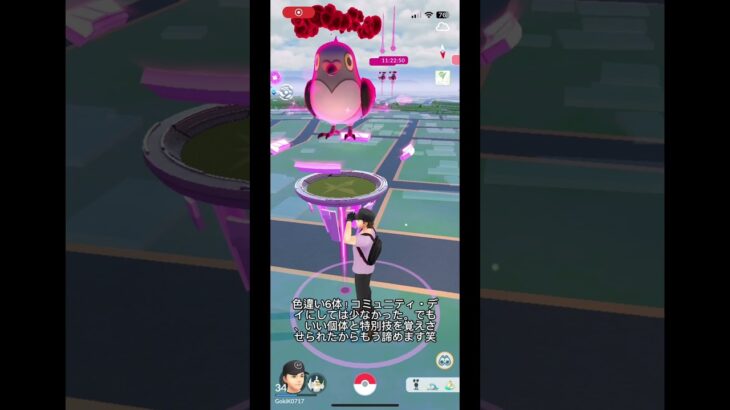 コミュニティ・デイお疲れ様です！#ポケモンgo
