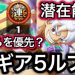 【トレクル】新ギア5ルフィ どちらの潜在能力のレベルを優先して上るべき？【スゴフェス】【超スゴフェス】【海賊祭】【OPTC】【Sugofest】【Super Sugofest】