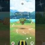 最新の色違い！！#shots #ポケモンgo #pokemon p