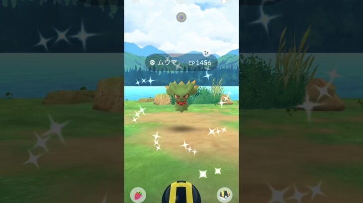 最新の色違い！！#shots #ポケモンgo #pokemon p