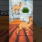 best games #宝鐘マリン #ホロライブ #アニメ #ウマ娘プリティーダービー #cute #funny #colorssong2