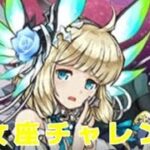 【パズドラ】ゆったり乙女座チャレンジ