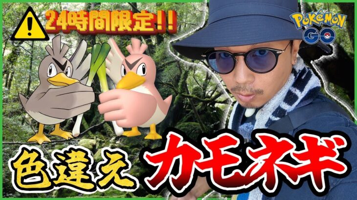 【ポケモンGO】絶対に見逃せない4日間が始まった！！24時間限定タイムチャレンジ発動！！運命を占う１発目の地域限定ポケモンは・・・カモネギ！！【カントーセレブレーション】