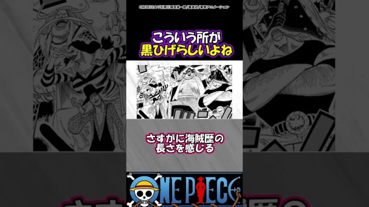 【ワンピース】こういう所は黒ひげらしいよね！#ワンピース