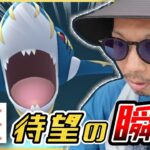 【ポケモンGO】もう誰にも止められない！？非常に珍しい最強のメガサメハダーが爆誕してしまった！！【レイドデイ：メガサメハダー】