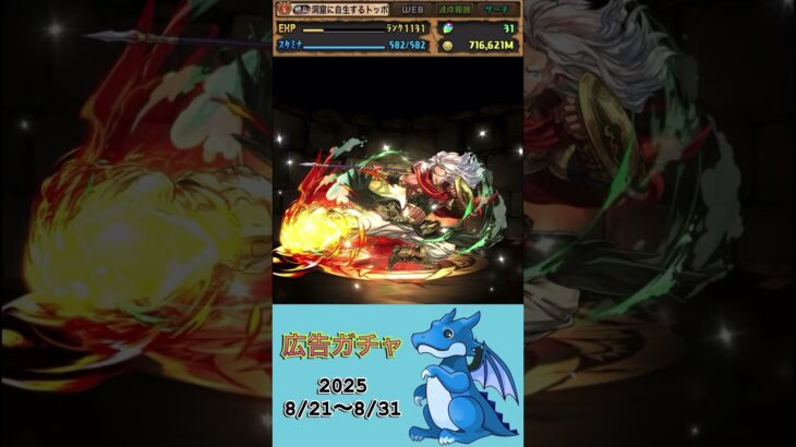 [パズドラ]  広告ガチャ　2025/8/21〜8/31