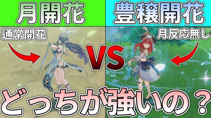 【原神】ラウマ入り通常開花と豊穣開花ってどっちが強い？
