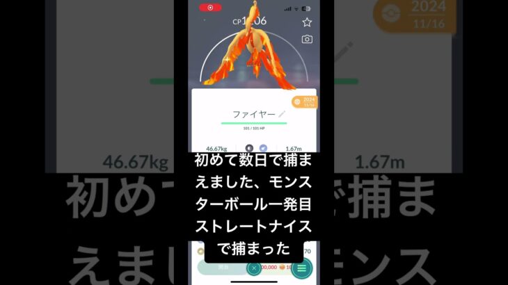 #流行り #ポケモンgo #ポケモンgo伝説#すごい#ばずりたい