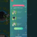 ポケモンGOヒスイドレディアお披露目1位1位2位リワード結果！#ポケモン #ポケモンgo #pokemongo