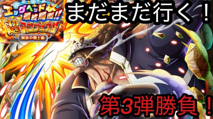 [トレクル]エッグヘッドスゴフェスまだ追うぞ！第 3弾勝負するが結果はいかに！？[OPTC][超スゴフェス]