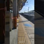 #ウマ娘プリティーダービー #ウマ娘 #歌ってみた 7201#r100 #貨物列車