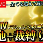 【FGO】奏章Ⅳトリニティ・メタトロニオス縛り攻略！ ストーリー配信 Part8【初見歓迎】