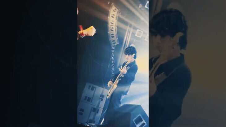 Twilight/Hakubi #hakubi #邦ロック #ライブ #recommendsong #メメントモリ