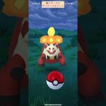 【難易度低】アチゲータ極小サークルクリティカルゲット【ポケモンGO】