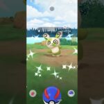 【ポケモンGO】 パッチール （5番・色違い） 捕獲動画！！