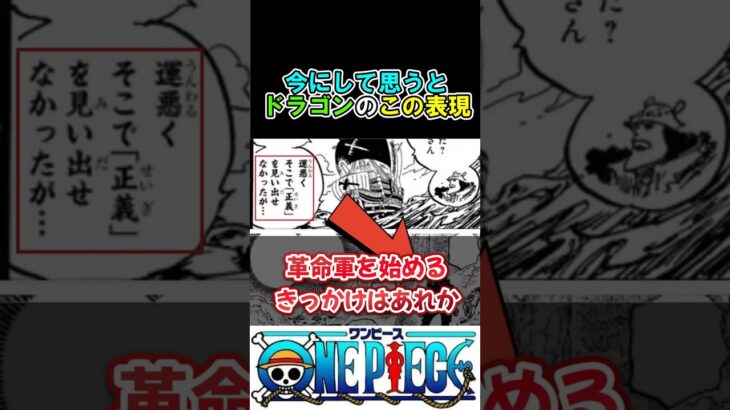 【ワンピース】ドラゴンのこの表現もここに繋がる?#ワンピース